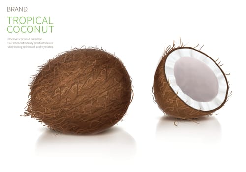 Coconut realistic vector illustration, whole and half broken coco nut with reflection, isolated on white background, and brand label. Set for packaging natural food and organic cosmetics.