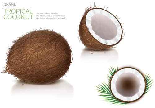 Broken and whole coconut, half coco nut with green palm leaves, isolated on white background, top view. Design element for food packaging, ingredient for natural organic cosmetics.
