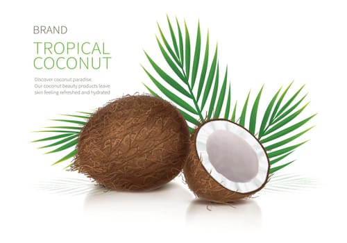 Tropical coconut realistic vector, whole and broken half coco nut and green palm leaves on white glossy background. Mock up banner or packaging design for natural products or organic cosmetics