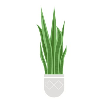 Natural potted houseplant. Decorative plant for interior design, botanicals flower cartoon vector illustration