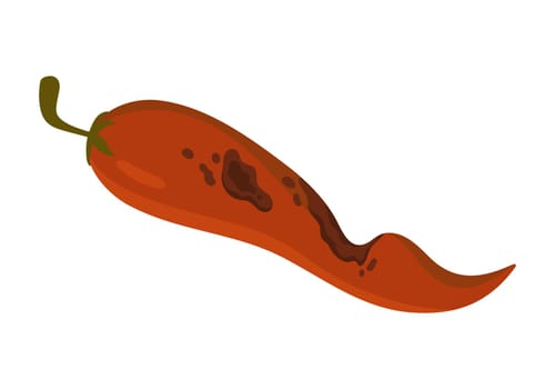Old rotten chilli pepper. Bad unhealthy food from kitchen litter, moldy expired vegetable, organic garbage cartoon vector illustration