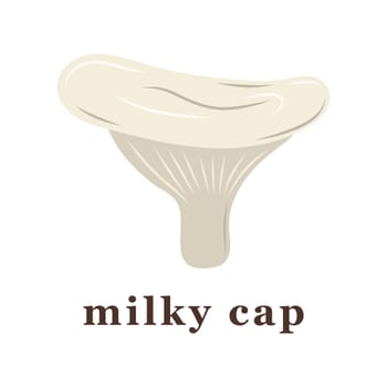milky cap mushroom. edible mushrooms. Isolated vector illustration.