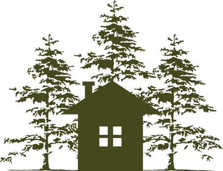 Home and Cedar Tree