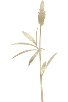 Wildflower in gold with transparent background