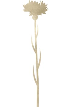 Wildflower in gold with transparent background
