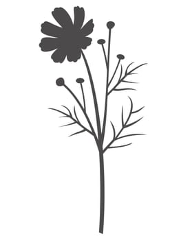 Wildflower in dark grey with transparent background