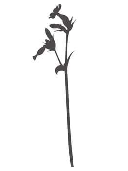 Wildflower in dark grey with transparent background
