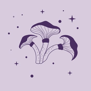 Boho mystical mushrooms, witchy esoteric objects and magical plants. Psychoactive substance that induce altered perceptions and sense of interconnectedness. Witchcraft items. Vector in flat style