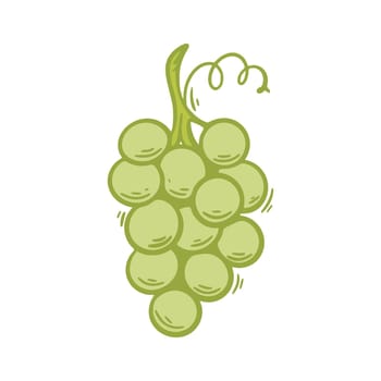 Sprig of ripe white grapes clip art. Color image of bunch of green berries. Organic product, healthy food. Grapes isolated vector illustration