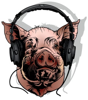 Colored Drawing of a Pig with Headphones on his Head - Illustration Isolated on White Background, Vector