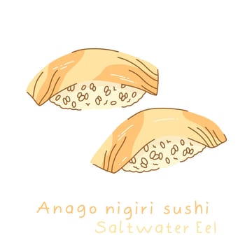 Portioned anago nigiri sushi with saltwater eel on rice side and three quarter view. Vector illustration