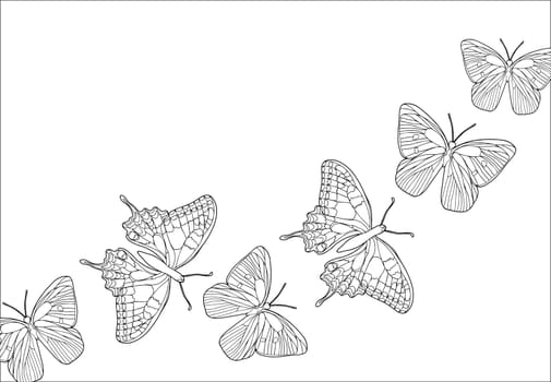 Butterfly banner with line art hand drawn illustrations for design of card or invitations. vector design for coloring page.