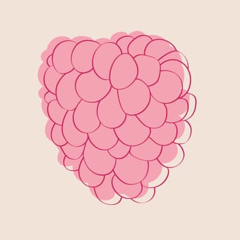 Pink raspberry lying on a vibrant pink background. The fruit appears fresh and ripe, ready to be enjoyed