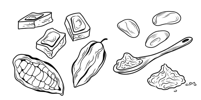 Set of the cocoa. Cocoa fruits, beans, leaves and cocoa powder in a slide and on a wooden spoon. Vector illustration