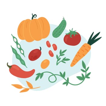 Natural vegetables farm. Farming activity, autumn harvesting season flat vector illustration