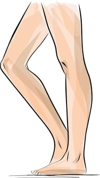 Silhouettes of lady legs and feet, vector illustration Slim, long, and elegant woman legs and feet. Legs design elements.