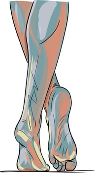 Beautiful female feet. Hand drawn vector illustration of realistic human feet. Healthy foot.