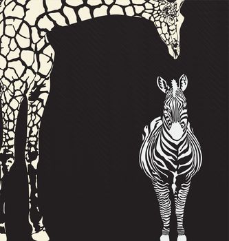 vector illustration of zebra and giraffe on a black background