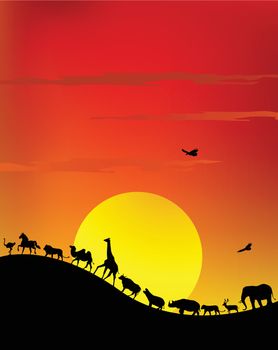 vector illustration of silhouette of wildlife safari