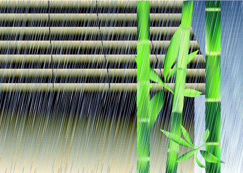 Bamboo under the rain. Background 10 EPS