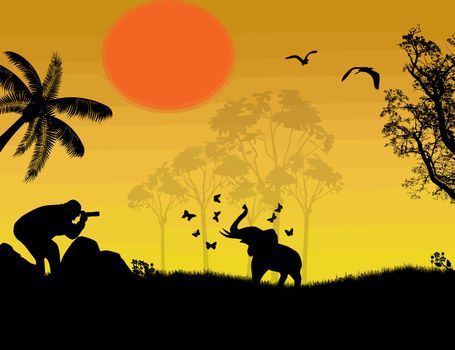 Silhouette of photographer at sunset shoot a baby elephant at jungle landscape