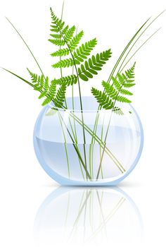 Green Grass and Fern In Round Glass Vase Over White Background
