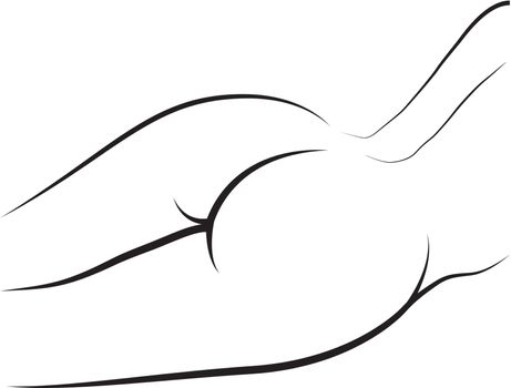 Female nude buttocks vector outline. Fully editable