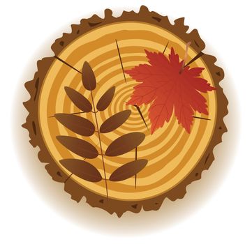 vector wooden cut and fall leaves