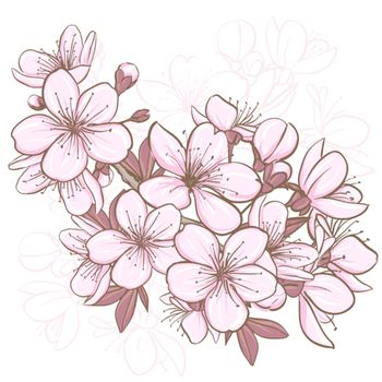 Cherry blossom. Decorative floral illustration of sakura flowers