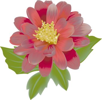 Beautiful Exotic Flower - colored illustration, vector