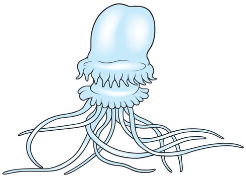 Big Jellyfish - Colored Cartoon Illustration, Vector