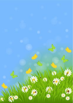 spring background with green grass, butterflies and ladybugs