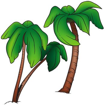 Palms - Colored Cartoon Illustration, Vector