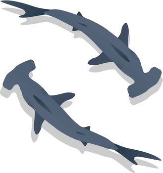 Hammer sharks, isolated objects on white background