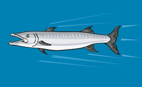 Illustration of a barracuda done in a retro style in an isolated background.