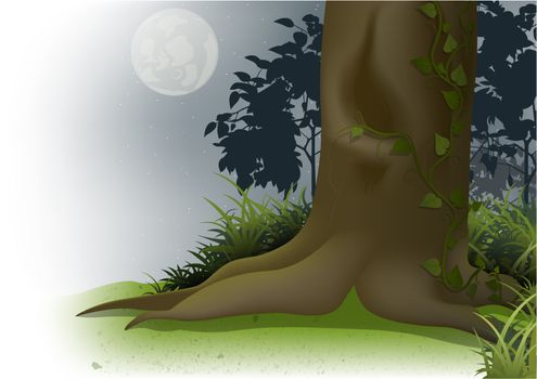 Night Scene - Cartoon Background Illustration, Vector