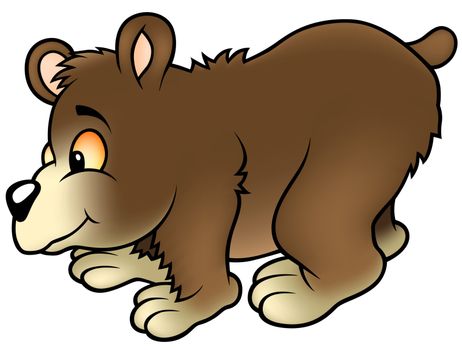 Bear - Cartoon Illustration, Vector