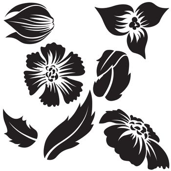 Flower Elements - Black Abstract Illustration, Vector