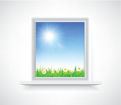 Plastic window with a view of the chamomile field