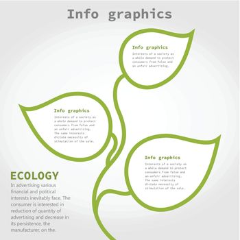 Info graphic on a theme the nature. A vector illustration