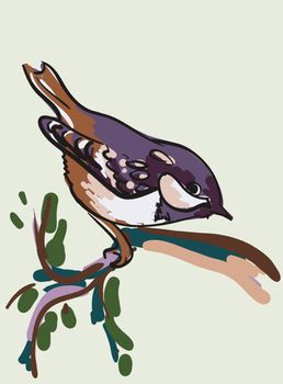 Vector sketch of bird on a tree branch