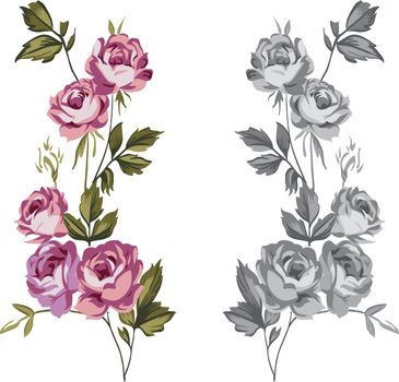 Vintage style shabby roses vector illustration design elements in colored and gray-scale versions