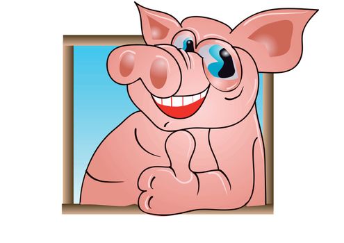 funny pig isolated on the white background