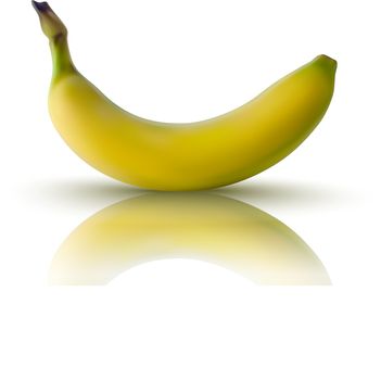realistic illustration of banana with reflection - vector illustration
