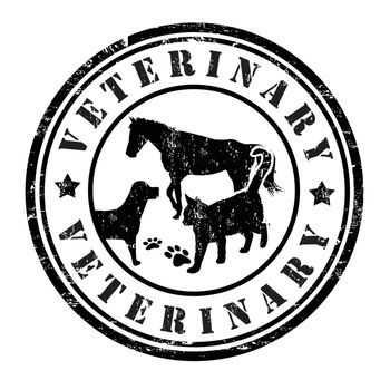 Veterinary grunge rubber stamp on white, vector illustration