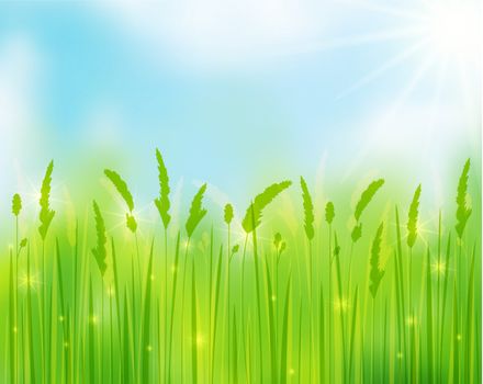 Sunny Day background with green grass