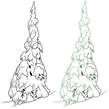 Snowy Conifer - Outline Illustration, Vector