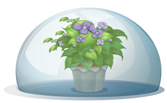 Illustration of a dome with a pot with plant on a white background