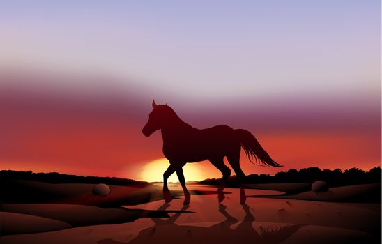 Illustration of a sunset at the desert with a horse