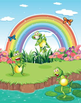 Illustration of the three playful frogs at the pond and a rainbow in the sky